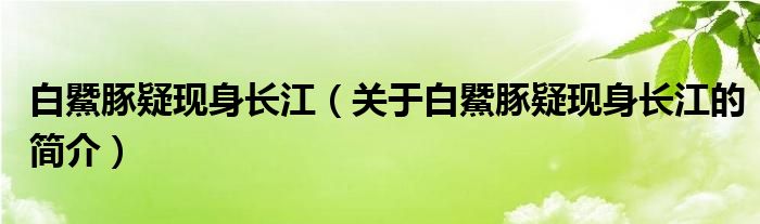 白鱀豚疑現(xiàn)身長江（關于白鱀豚疑現(xiàn)身長江的簡介）