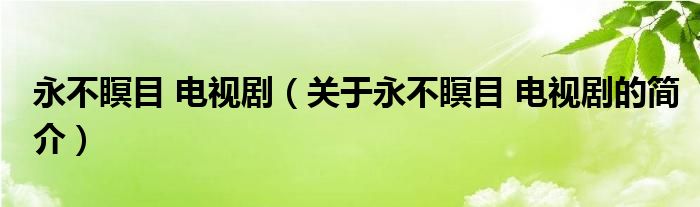 永不瞑目 電視?。P(guān)于永不瞑目 電視劇的簡介）