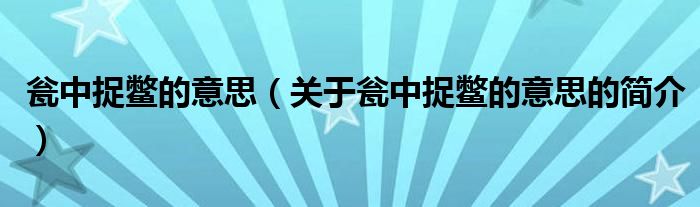 甕中捉鱉的意思（關于甕中捉鱉的意思的簡介）