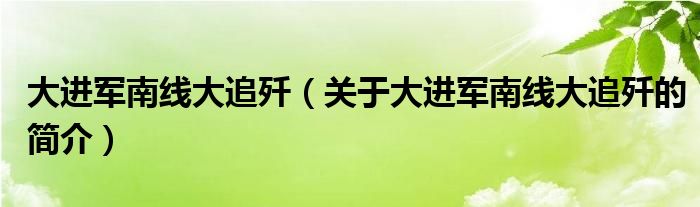 大進軍南線大追殲（關(guān)于大進軍南線大追殲的簡介）