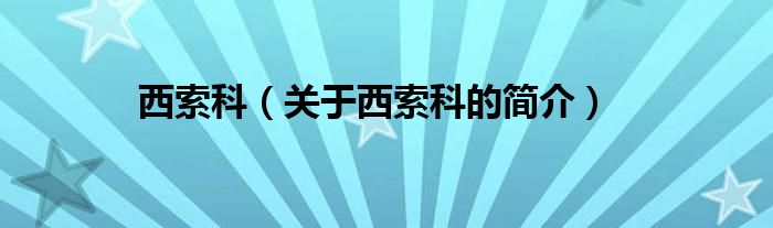 西索科（關(guān)于西索科的簡(jiǎn)介）