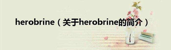 herobrine（關(guān)于herobrine的簡(jiǎn)介）