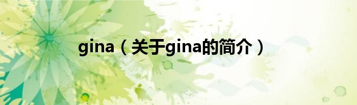 gina（關(guān)于gina的簡介）