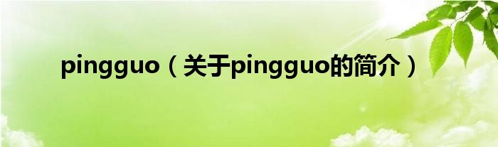 pingguo（關(guān)于pingguo的簡(jiǎn)介）