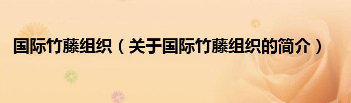 國(guó)際竹藤組織（關(guān)于國(guó)際竹藤組織的簡(jiǎn)介）