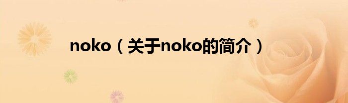 noko（關于noko的簡介）