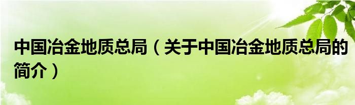 中國(guó)冶金地質(zhì)總局（關(guān)于中國(guó)冶金地質(zhì)總局的簡(jiǎn)介）