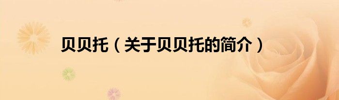 貝貝托（關(guān)于貝貝托的簡(jiǎn)介）