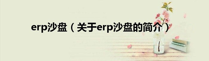 erp沙盤（關(guān)于erp沙盤的簡(jiǎn)介）