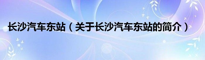 長沙汽車東站（關(guān)于長沙汽車東站的簡介）