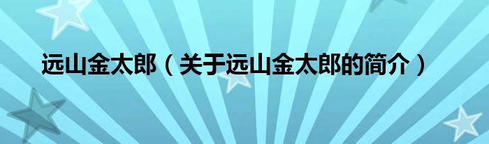 遠(yuǎn)山金太郎（關(guān)于遠(yuǎn)山金太郎的簡介）