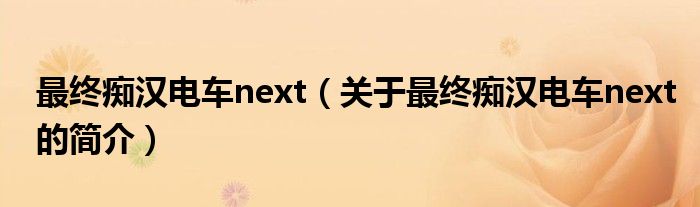 最終癡漢電車next（關于最終癡漢電車next的簡介）