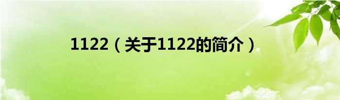 1122（關于1122的簡介）