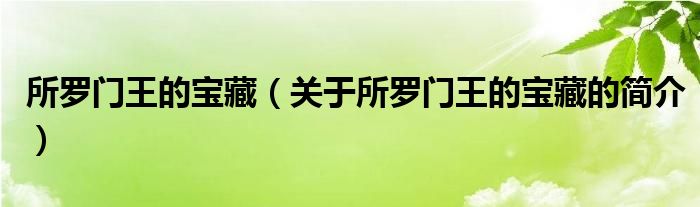 所羅門王的寶藏（關(guān)于所羅門王的寶藏的簡(jiǎn)介）