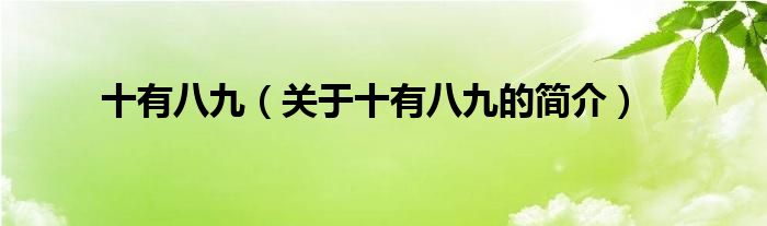 十有八九（關(guān)于十有八九的簡介）