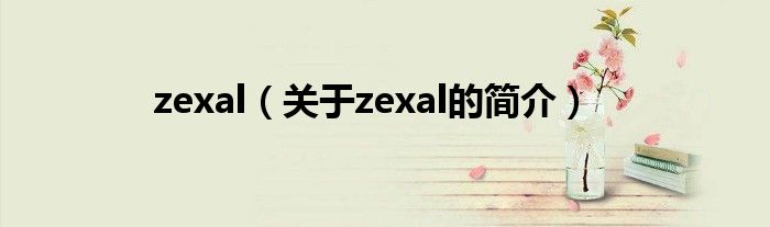 zexal（關(guān)于zexal的簡(jiǎn)介）