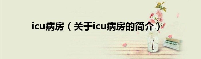 icu病房（關(guān)于icu病房的簡(jiǎn)介）