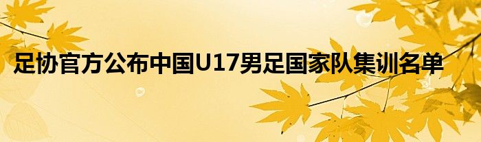 足協(xié)官方公布中國U17男足國家隊集訓(xùn)名單