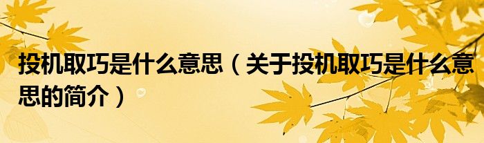 投機(jī)取巧是什么意思（關(guān)于投機(jī)取巧是什么意思的簡介）