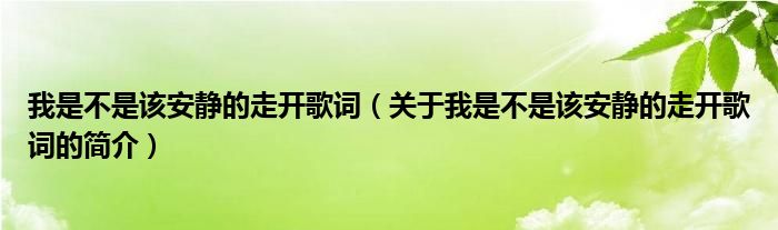 我是不是該安靜的走開(kāi)歌詞（關(guān)于我是不是該安靜的走開(kāi)歌詞的簡(jiǎn)介）