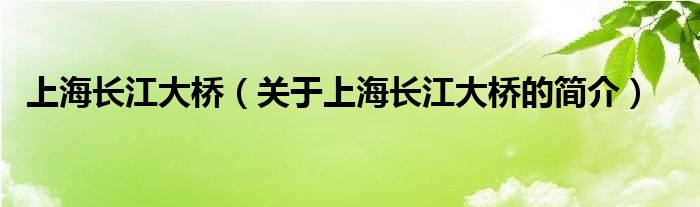 上海長江大橋（關(guān)于上海長江大橋的簡介）