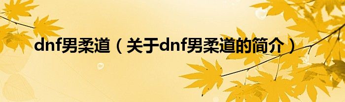 dnf男柔道（關于dnf男柔道的簡介）