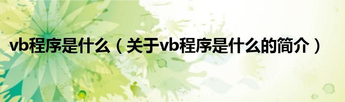 vb程序是什么（關于vb程序是什么的簡介）