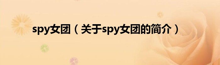 spy女團(tuán)（關(guān)于spy女團(tuán)的簡(jiǎn)介）