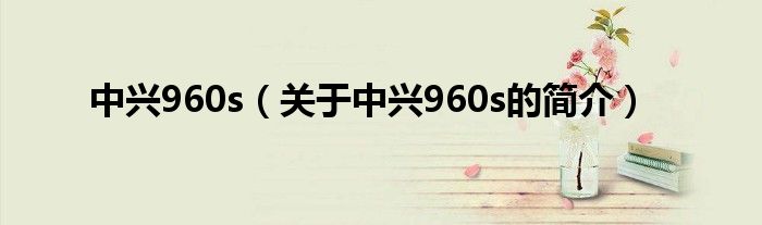 中興960s（關(guān)于中興960s的簡介）