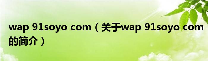 wap 91soyo com（關(guān)于wap 91soyo com的簡介）