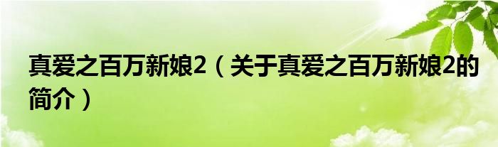 真愛之百萬新娘2（關(guān)于真愛之百萬新娘2的簡(jiǎn)介）