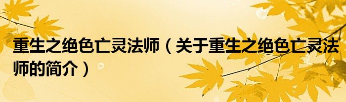 重生之絕色亡靈法師（關(guān)于重生之絕色亡靈法師的簡(jiǎn)介）