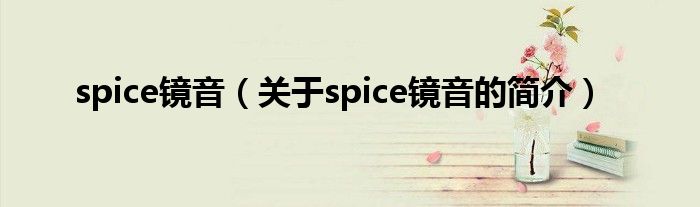 spice鏡音（關(guān)于spice鏡音的簡(jiǎn)介）