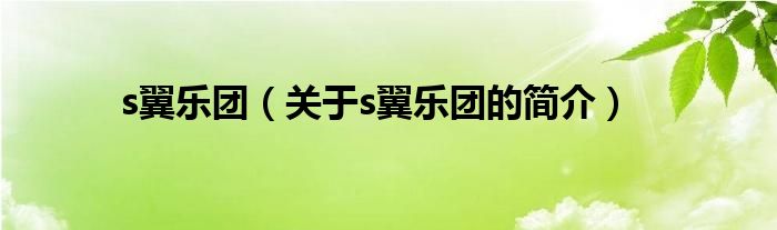 s翼樂(lè)團(tuán)（關(guān)于s翼樂(lè)團(tuán)的簡(jiǎn)介）