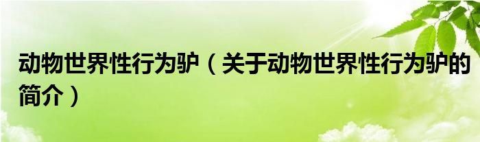 動物世界性行為驢（關于動物世界性行為驢的簡介）