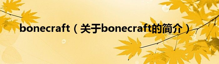 bonecraft（關于bonecraft的簡介）