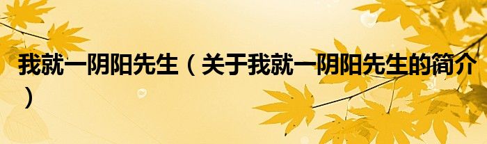 我就一陰陽(yáng)先生（關(guān)于我就一陰陽(yáng)先生的簡(jiǎn)介）