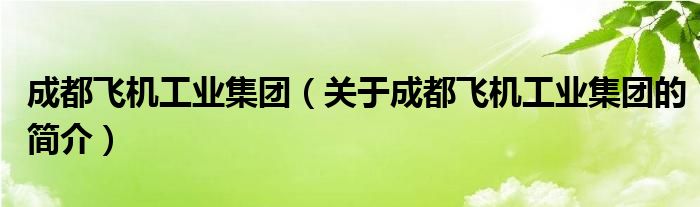 成都飛機(jī)工業(yè)集團(tuán)（關(guān)于成都飛機(jī)工業(yè)集團(tuán)的簡介）