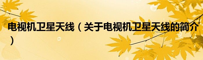 電視機(jī)衛(wèi)星天線（關(guān)于電視機(jī)衛(wèi)星天線的簡介）