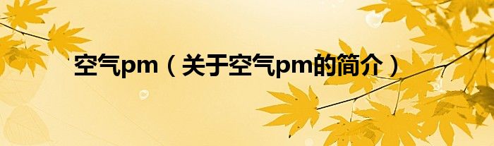 空氣pm（關(guān)于空氣pm的簡介）