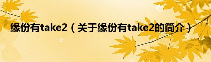 緣份有take2（關(guān)于緣份有take2的簡(jiǎn)介）