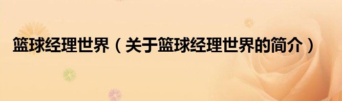 籃球經(jīng)理世界（關(guān)于籃球經(jīng)理世界的簡介）