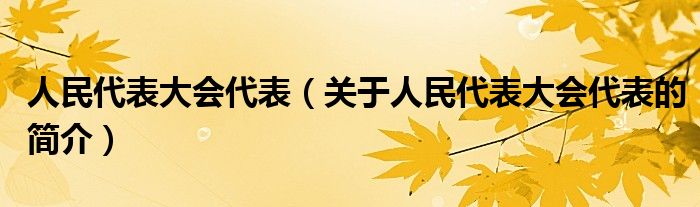 人民代表大會(huì)代表（關(guān)于人民代表大會(huì)代表的簡(jiǎn)介）