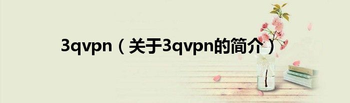 3qvpn（關(guān)于3qvpn的簡介）