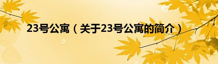 23號公寓（關(guān)于23號公寓的簡介）