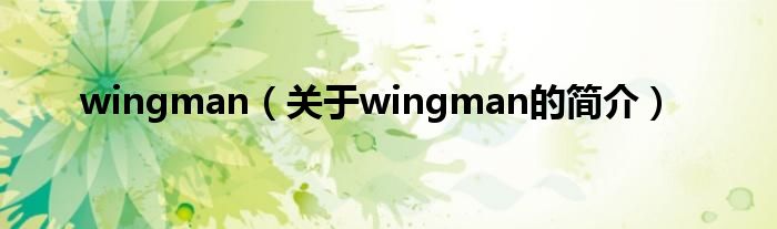 wingman（關(guān)于wingman的簡介）