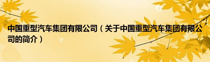 中國(guó)重型汽車集團(tuán)有限公司（關(guān)于中國(guó)重型汽車集團(tuán)有限公司的簡(jiǎn)介）