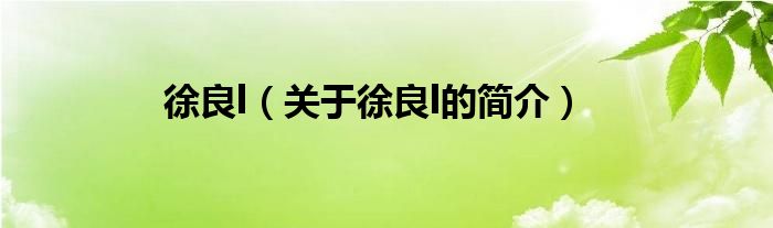 徐良l（關(guān)于徐良l的簡(jiǎn)介）