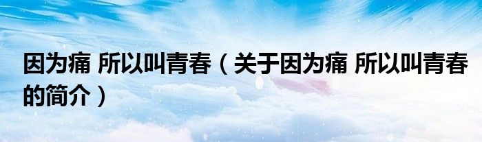 因為痛 所以叫青春（關(guān)于因為痛 所以叫青春的簡介）