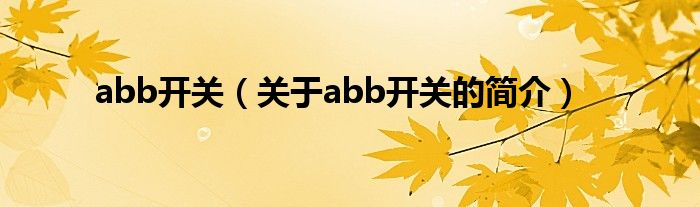 abb開(kāi)關(guān)（關(guān)于abb開(kāi)關(guān)的簡(jiǎn)介）